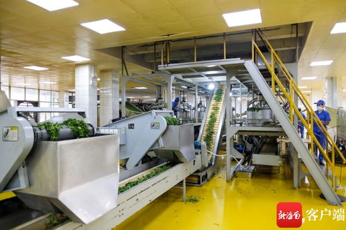 堅持創新驅動 白沙兩企業入選省科技型中小企業名單